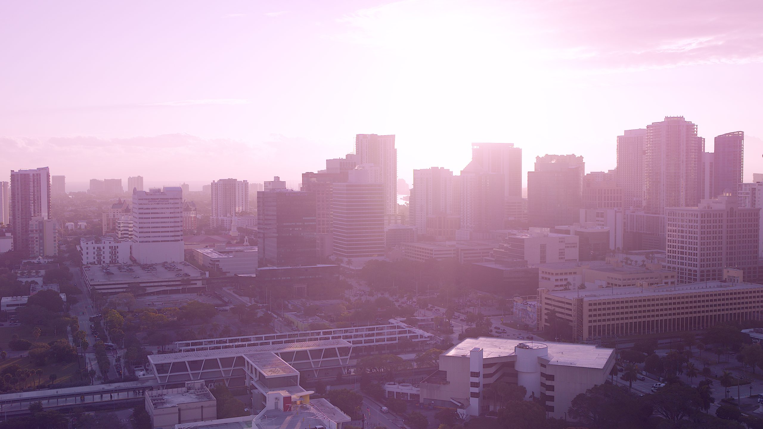 Image showcasing High Demand and Robust Growth - The Lauderdale
